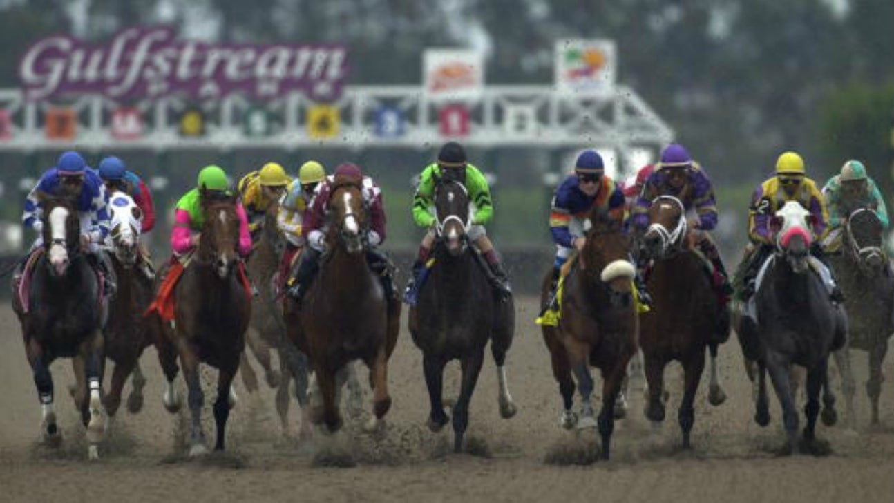 Everything You Need to Know About the Pegasus World Cup