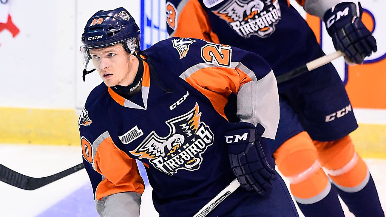 Report: OHL's Flint Firebirds fire coaching staff, players walk out