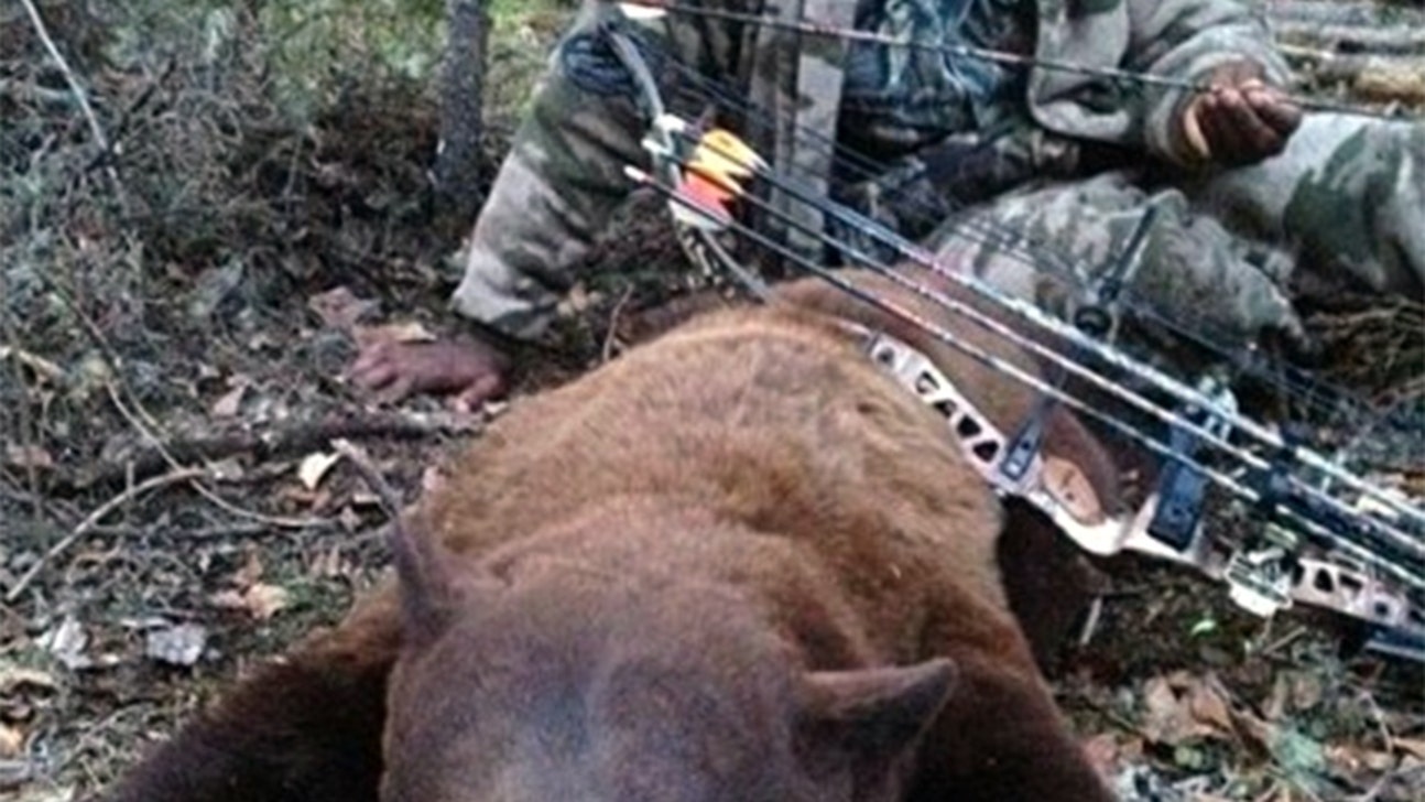 NBA legend Karl Malone takes down bear with bow and arrow