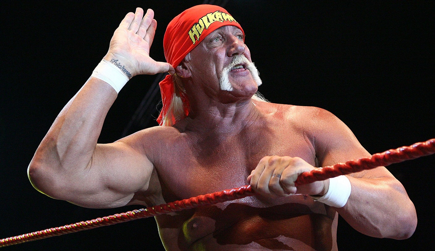 Hulk Hogan vs pic