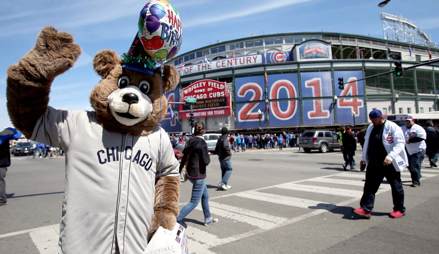 Bad news bear: Cubs sue over fake mascot that was in bar fight