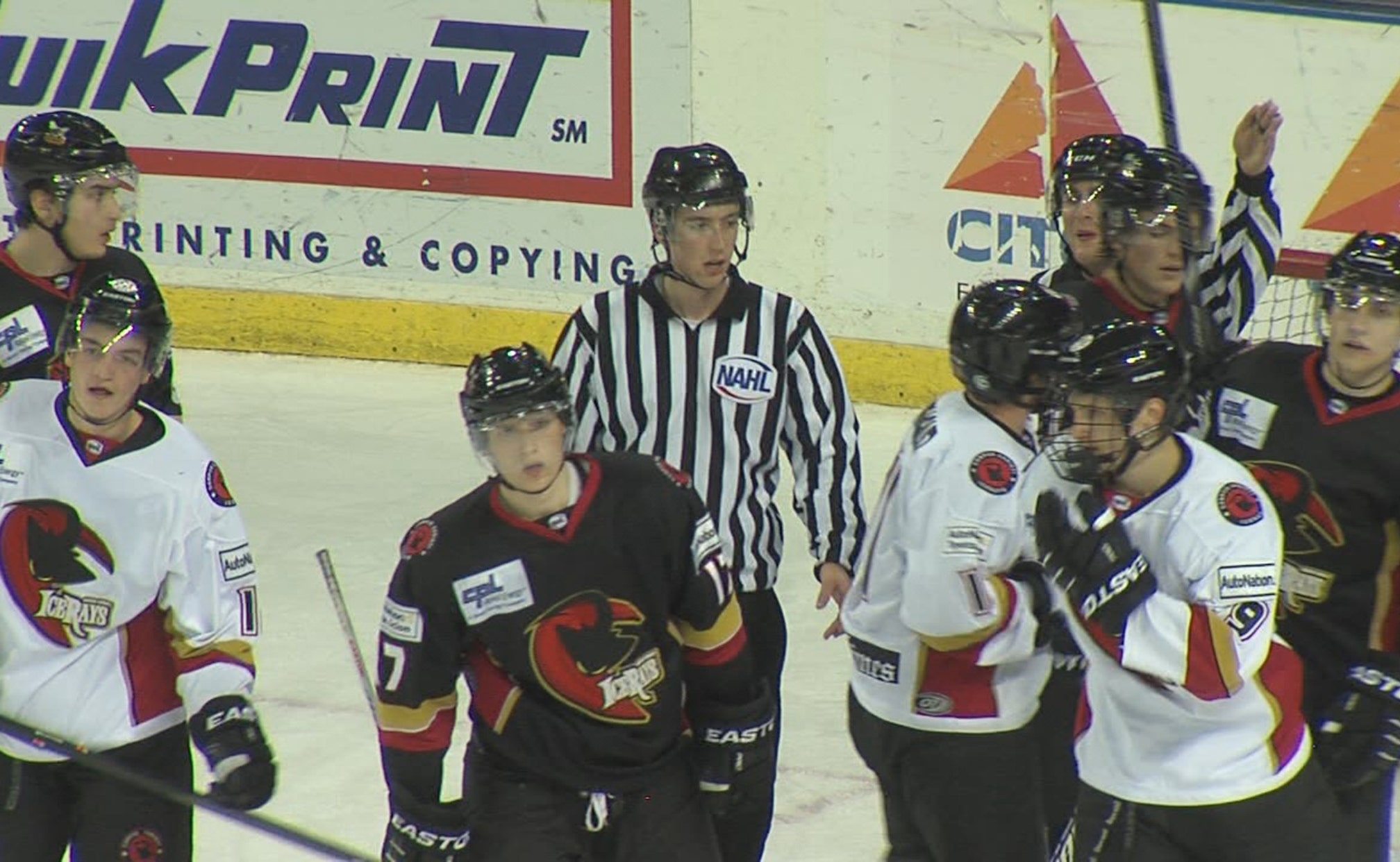 sports team sweaters