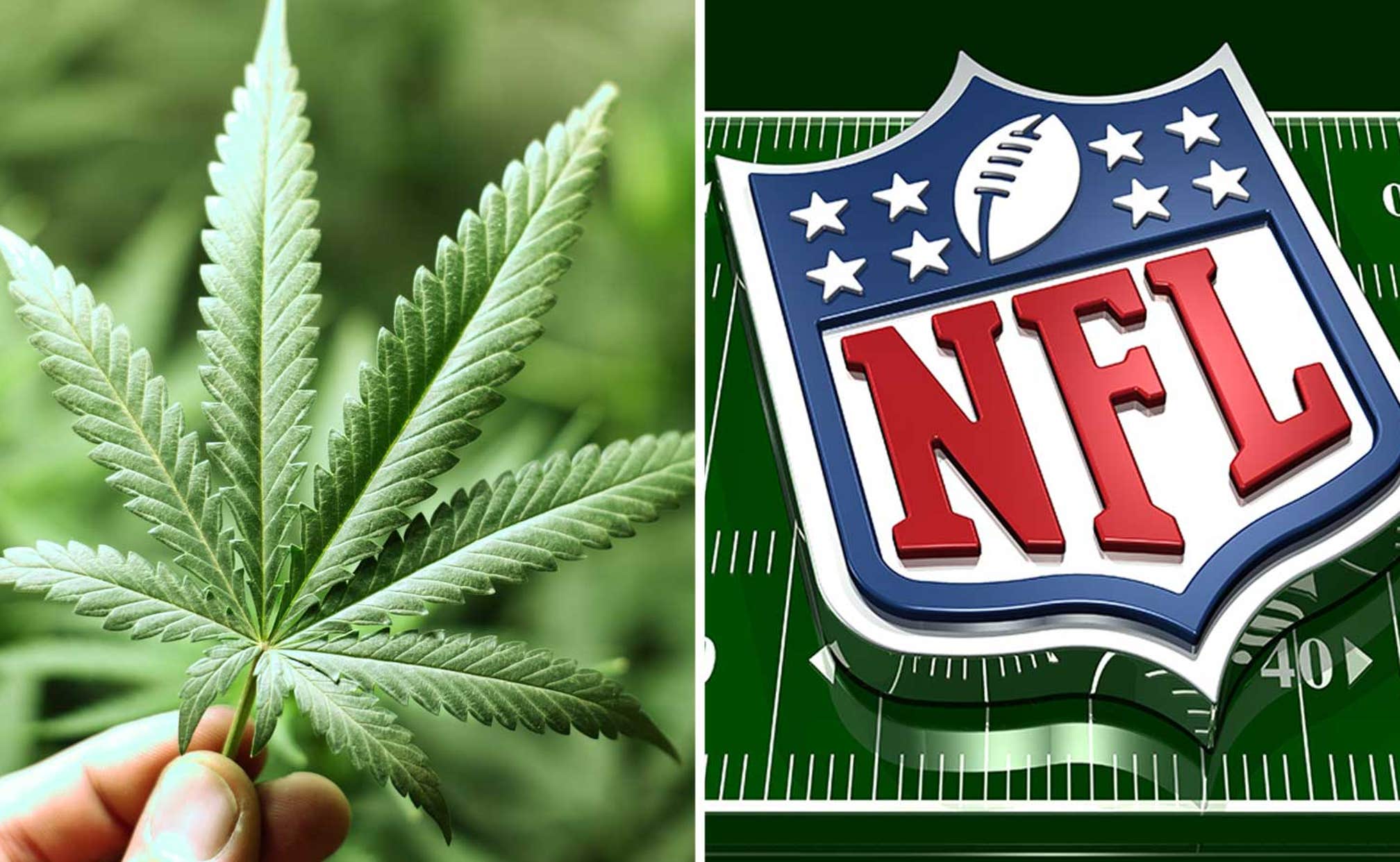 Jake Plummer pushes NFL to research possible marijuana benefits FOX