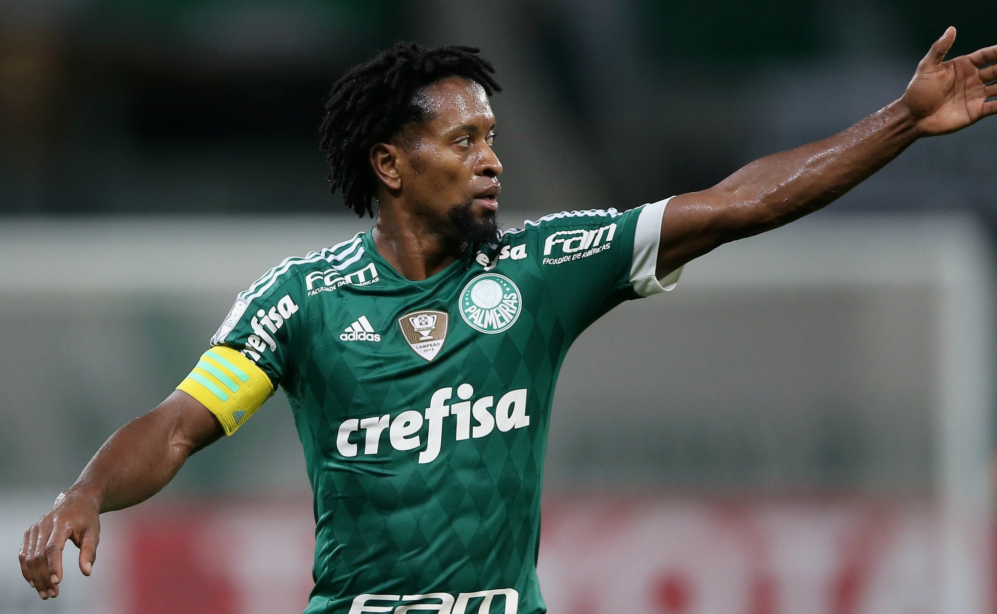 Watch 42 Year Old Ze Roberto Score This Sick Chip In Brazil Fox Sports