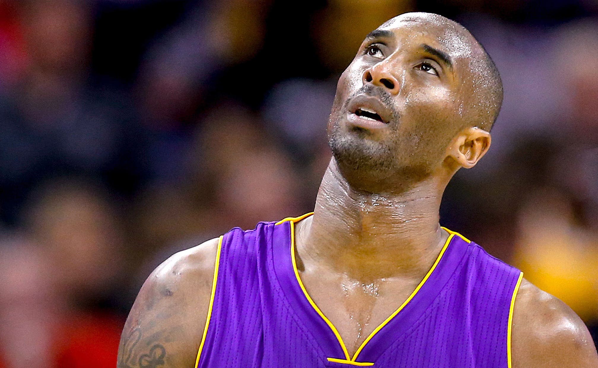 undefeated kobe bryant