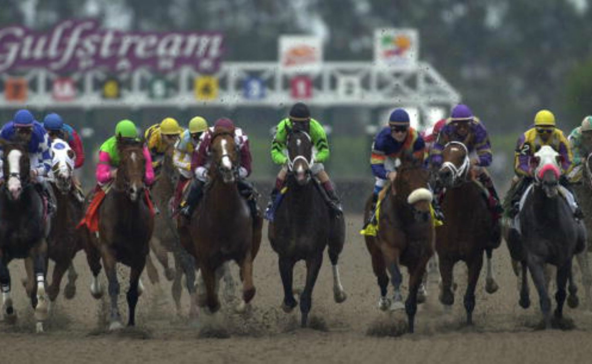 Bettor wins 72,000 on 20cent horseracing wager at Gulfstream Park