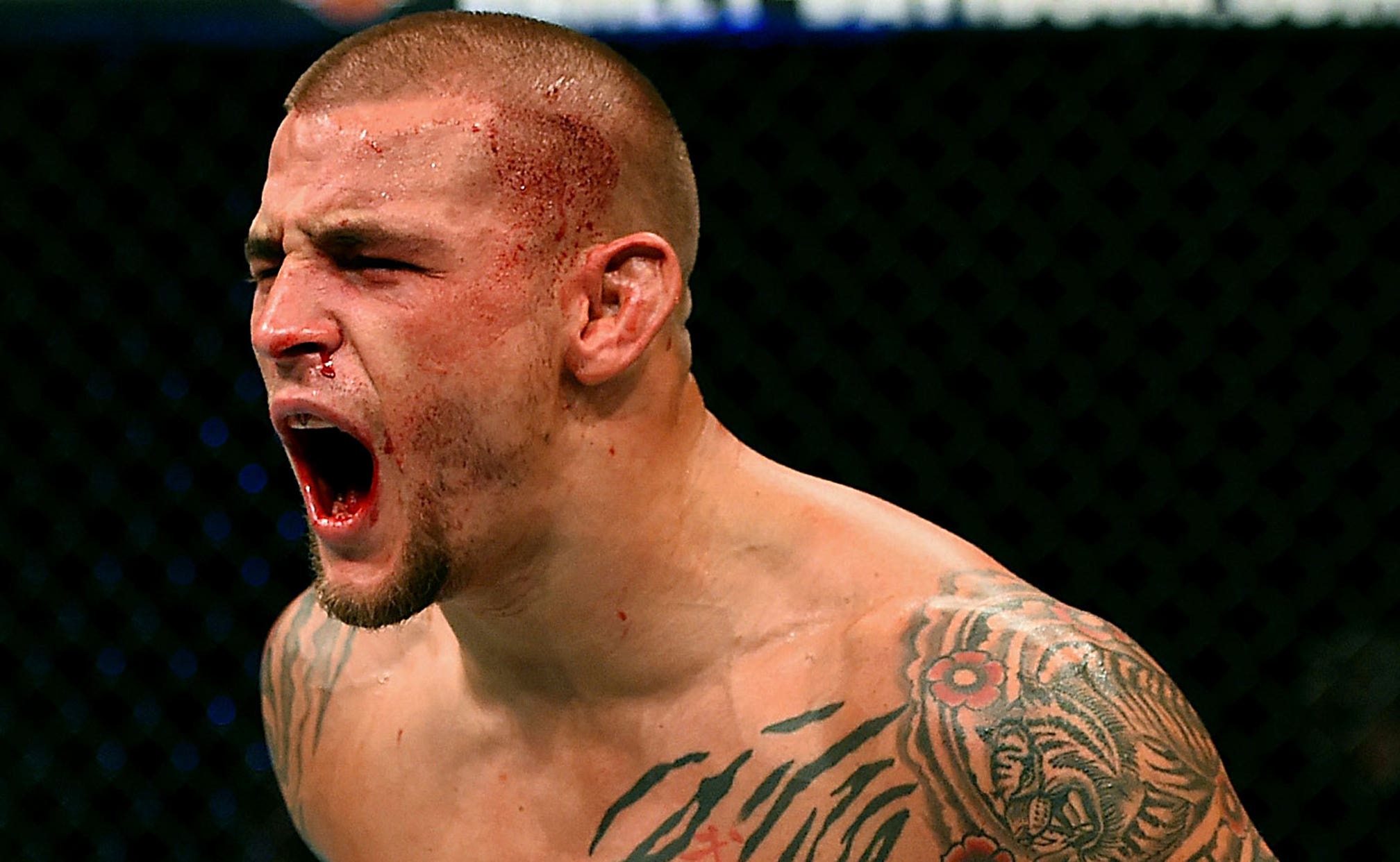 dustin poirier toy