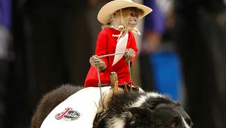 Next Story Image: Monkeys riding dogs chasing goats just isn't that weird anymore