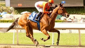 Next Story Image: Champion filly Beholder taken off sales block, will run again