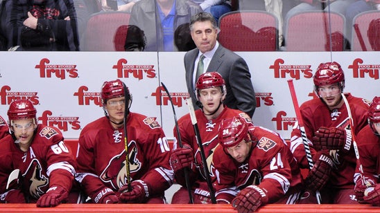 Dave Tippett on board with Coyotes' direction