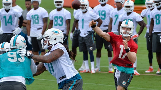 Dolphins believe they can be special in 2015