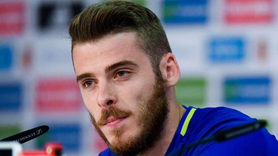 Del Bosque offers full support to Spain keeper De Gea