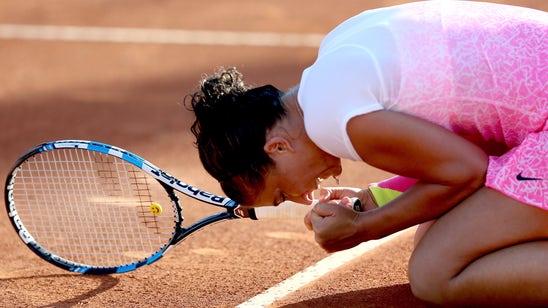 Rio Open finals: Ferrer defeats Fognini, Errani beats Schmiedlova