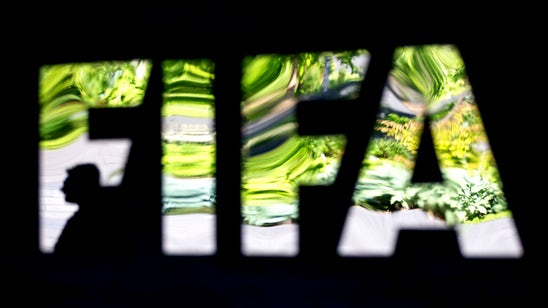 FIFA to brief executive committee on US, Swiss probes