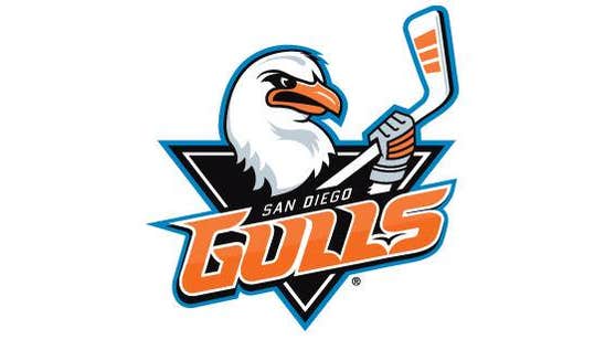 Goaltender Kevin Boyle reassigned to Utah Grizzlies (ECHL) after three days with Gulls