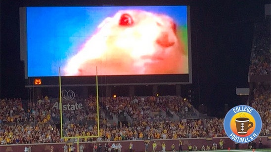 CFB AM: Minnesota's dramatic chipmunk returns to take your soul