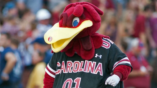 Talented in-state linebacker commits to South Carolina