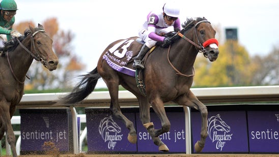 Kentucky Derby favorite Nyquist proves perfect marriage of horse racing and hockey