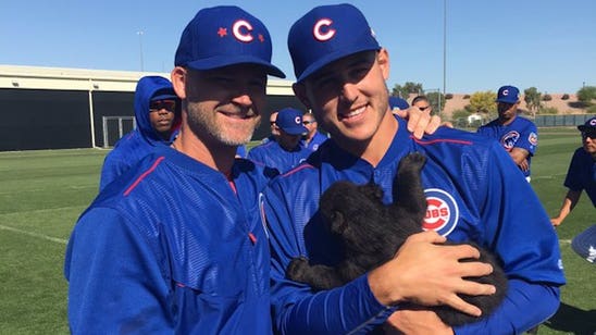 There were actual cubs at Cubs spring training on Friday