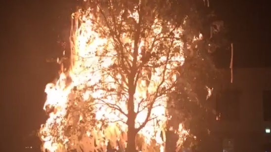 One of Auburn's famous Toomer's oaks was set on fire after beating LSU