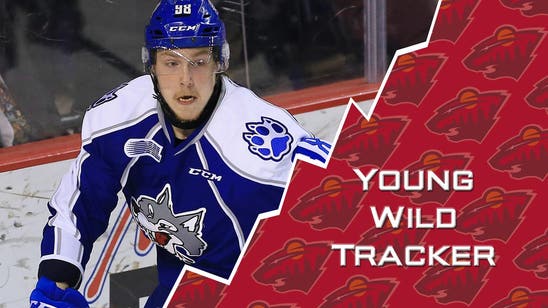 Young Wild Tracker: Sudbury's Sokolov racking up goals in OHL
