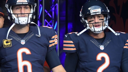 Chicago Bears:  Brian Hoyer vs. Jay Cutler Stat Comparison