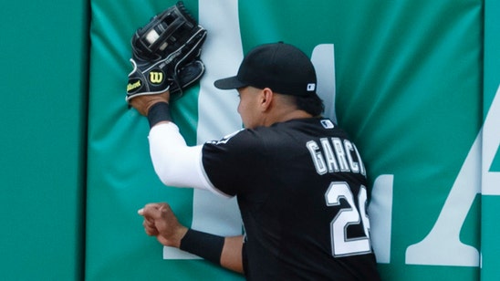White Sox Avisail Garcia makes great catch, high-fives fan