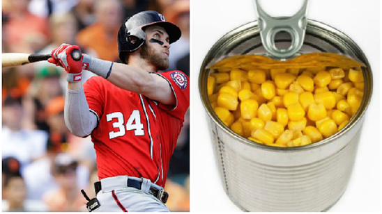 15 baseball terms that sound like pure gibberish to everyone else