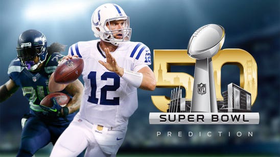 WhatIfSports 2015 NFL Playoff and Super Bowl Predictions