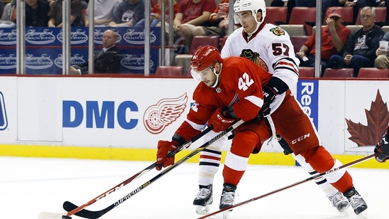 Chicago Blackhawks, Martin Frk Could Have Made Good Match