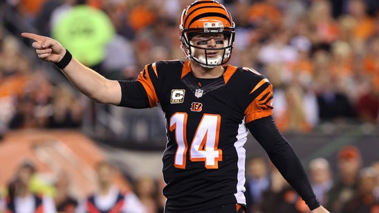 What are the Bengals' chances of going undefeated?
