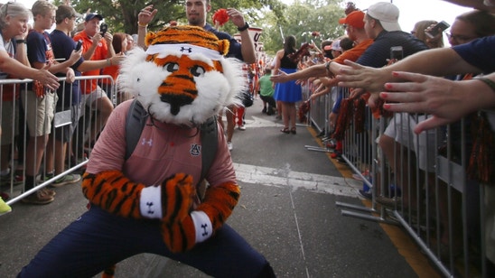 Auburn Tigers Q & A with War Blogle