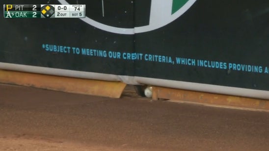 A's Josh Reddick makes hole-in-one in outfield wall