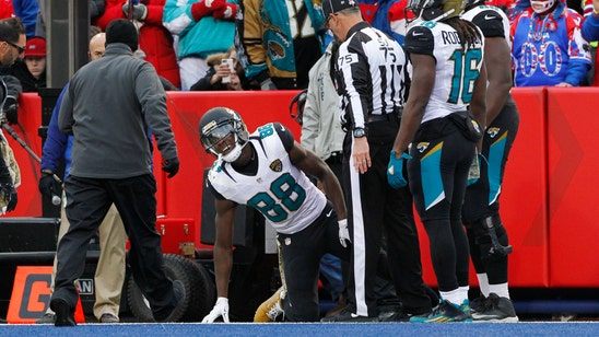 NFL Week 12 injury roundup: Allen Hurns, DeVante Parker go down