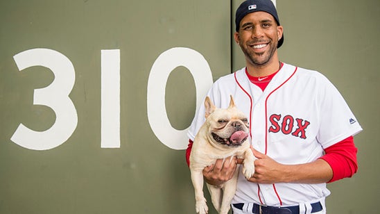 These 14 athletes own some of the cutest dogs in sports
