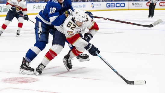 Panthers recall forward Denis Malgin from AHL Springfield