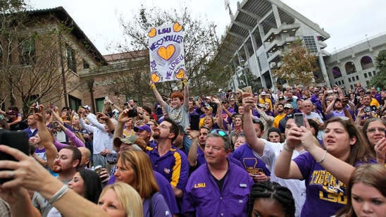 Tailgating Recipes for the LSU game