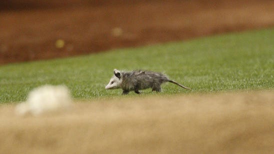 Rally Possum returns to Oakland ... but doesn't help A's