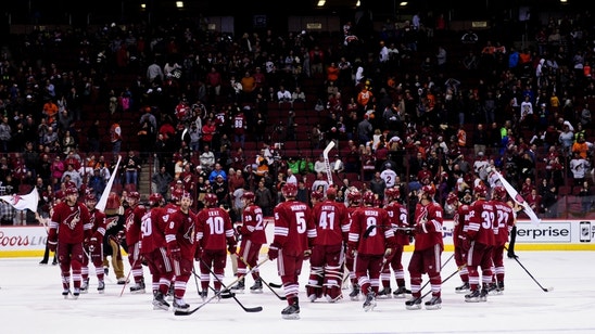 Arizona Coyotes: An Opening Night Guide For Casual Fans