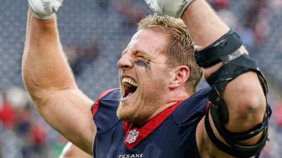 Could you imagine J.J. Watt competing in the UFC?
