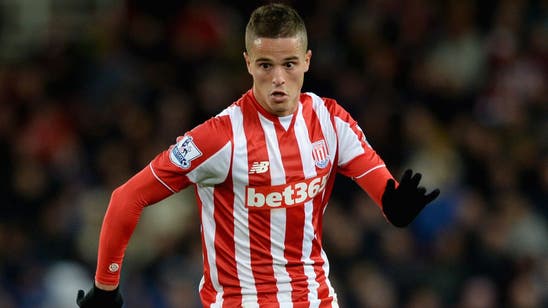 Stoke's Afellay suffers 'serious knee injury,' ruled out long term