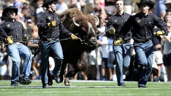 Arizona Football: Wildcats take on the Colorado Buffaloes, play spoiler