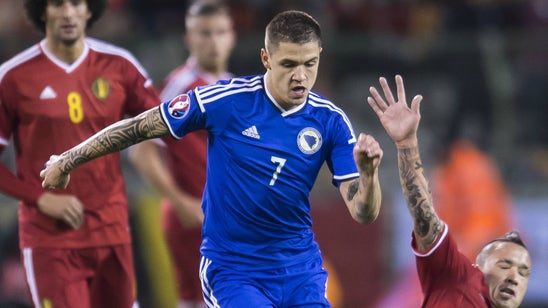 Everton's Mo Besic wore a full kit to cheer on Bosnia-Herzegovina ... from the couch