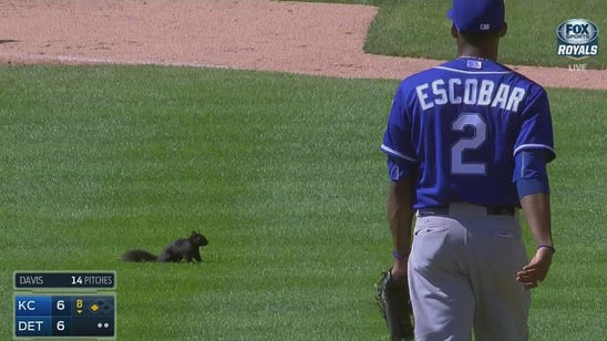 Royals rally, squirrel appears -- but a Rally Squirrel? Probably not