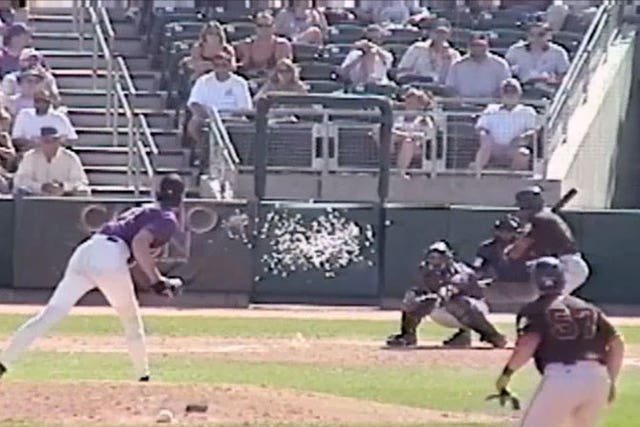 15 years ago today Randy Johnson ended a bird s life with a fastball FOX Sports