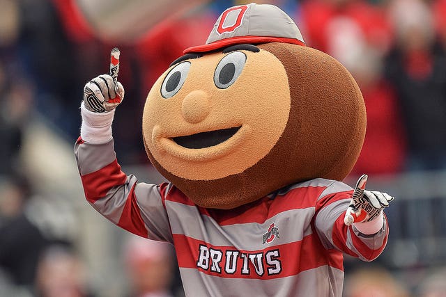 Brutus Buckeye dons Gator gear, does 