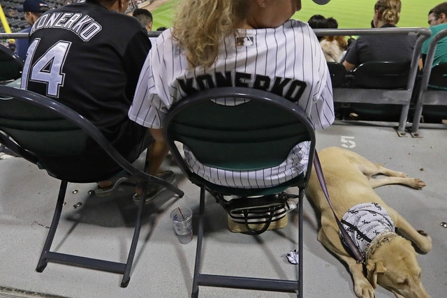 White Sox set world record for most dogs at sporting event