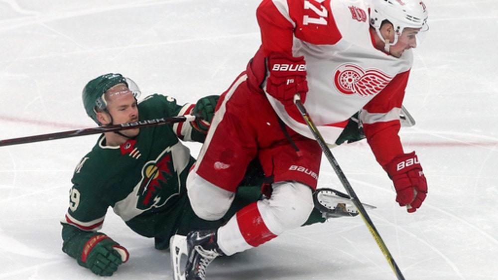 Wild snap skid with 4-1 win over Red Wings