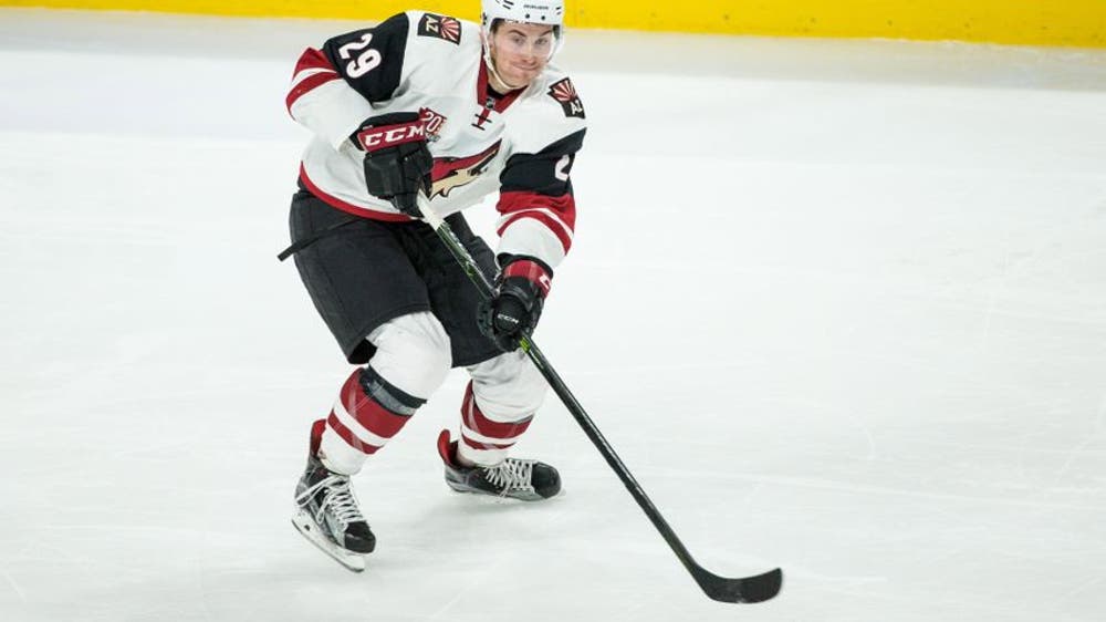 Arizona Coyotes Prospects: Roadrunners, Christian Fischer Are Rollin'