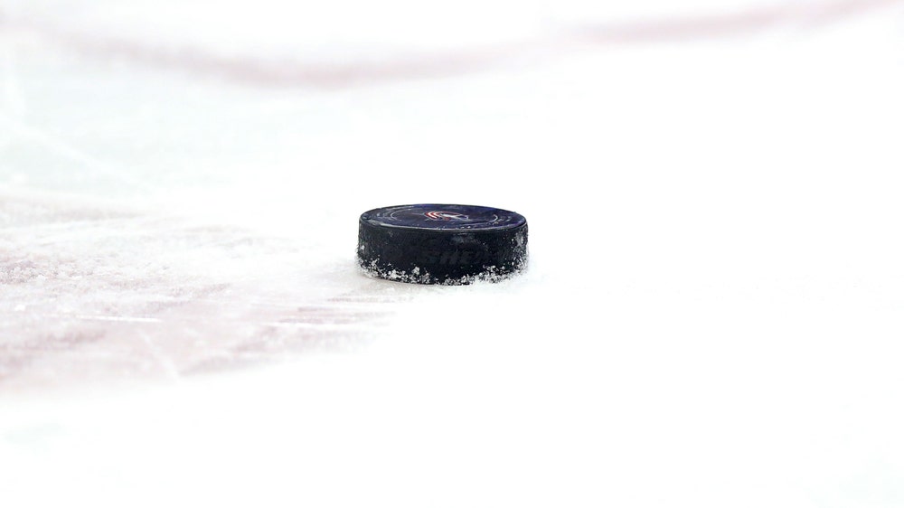 AHL Weekly Roundup:Troy Grosenick, Colin McDonald, Iowa Wild
